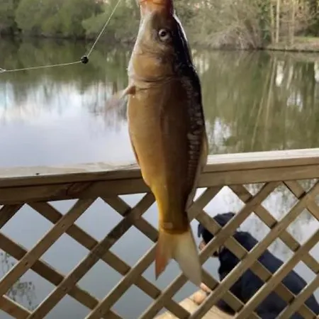 La Maison De L'o Bed & Breakfast