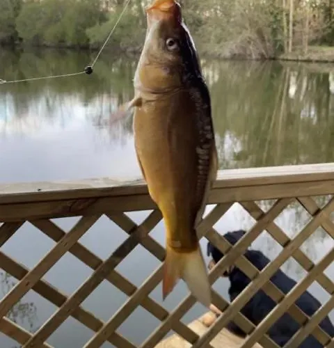 La Maison De L'o Bed & Breakfast
